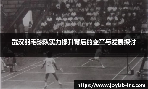 mk体育